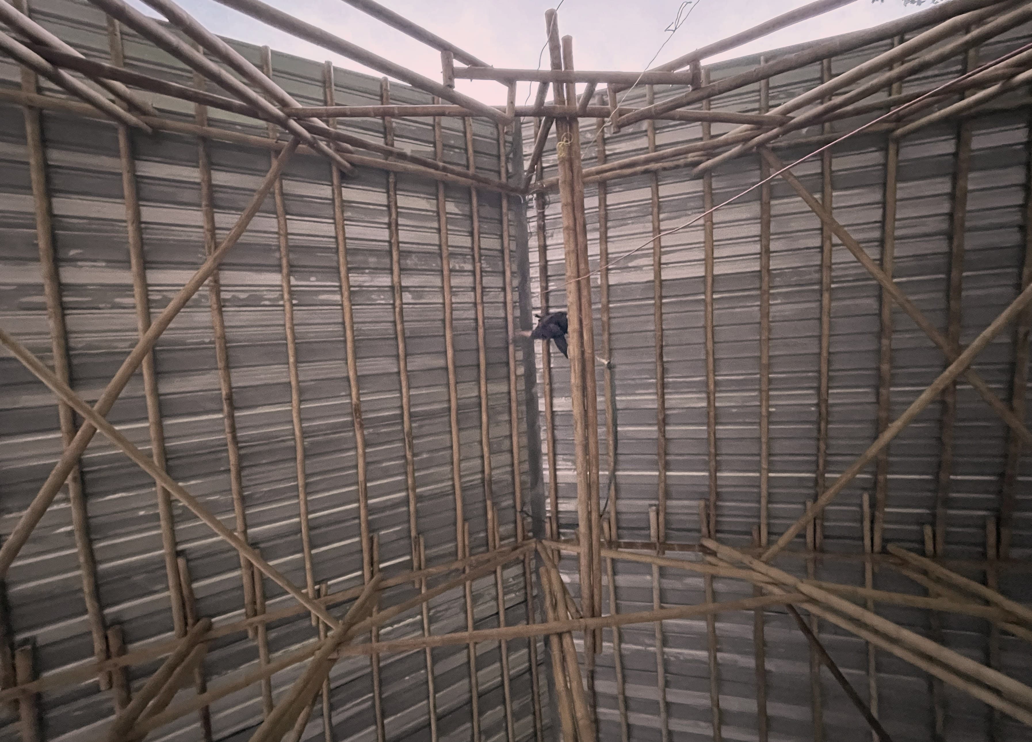 Looking up into the guadua roof structure at the DUAGUA facility