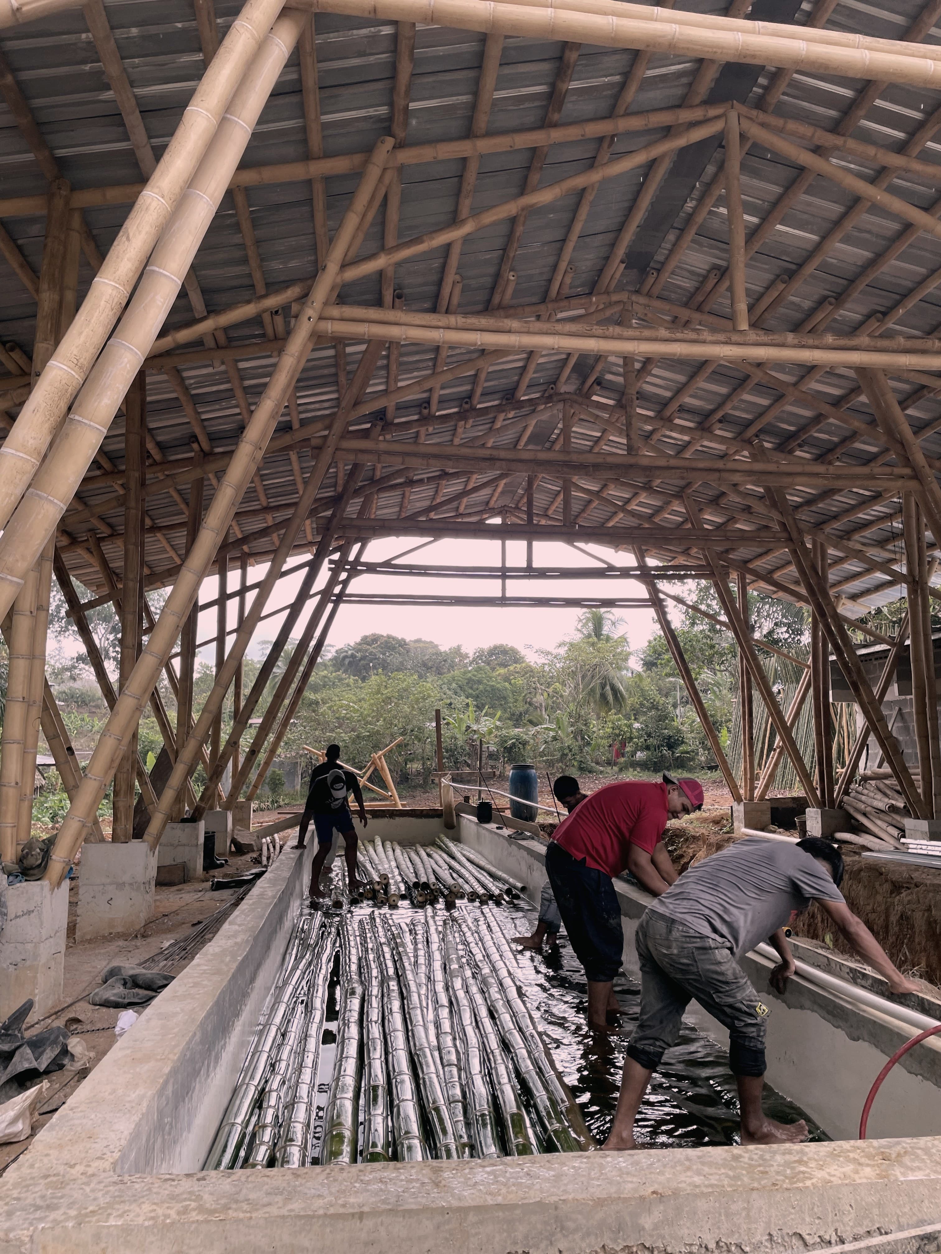 Workers loading guadua poles into the treatment bath under the bamboo roof at DUAGUA's facility