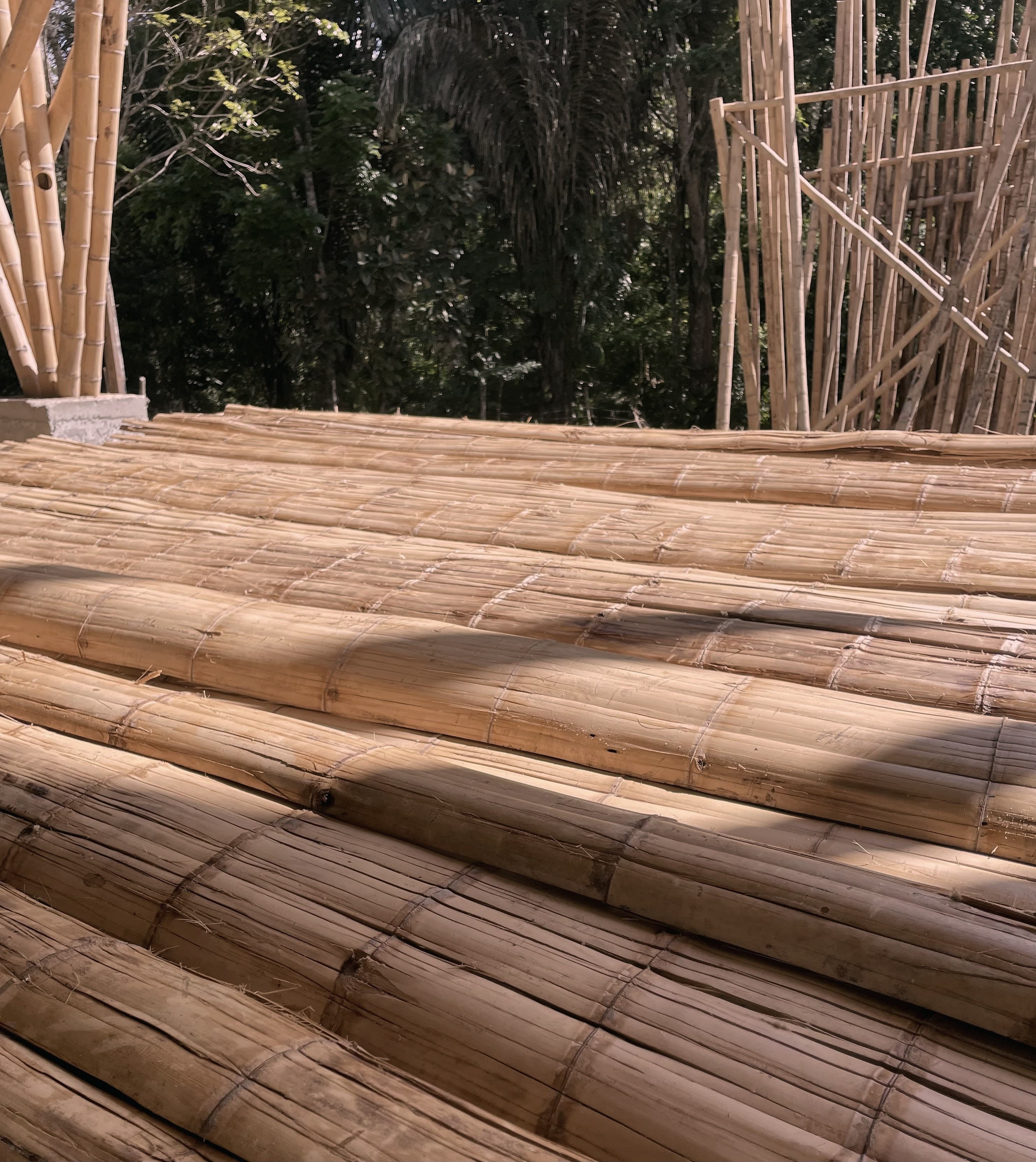 Rolled bamboo mats (esterilla) laid out at the DUAGUA facility