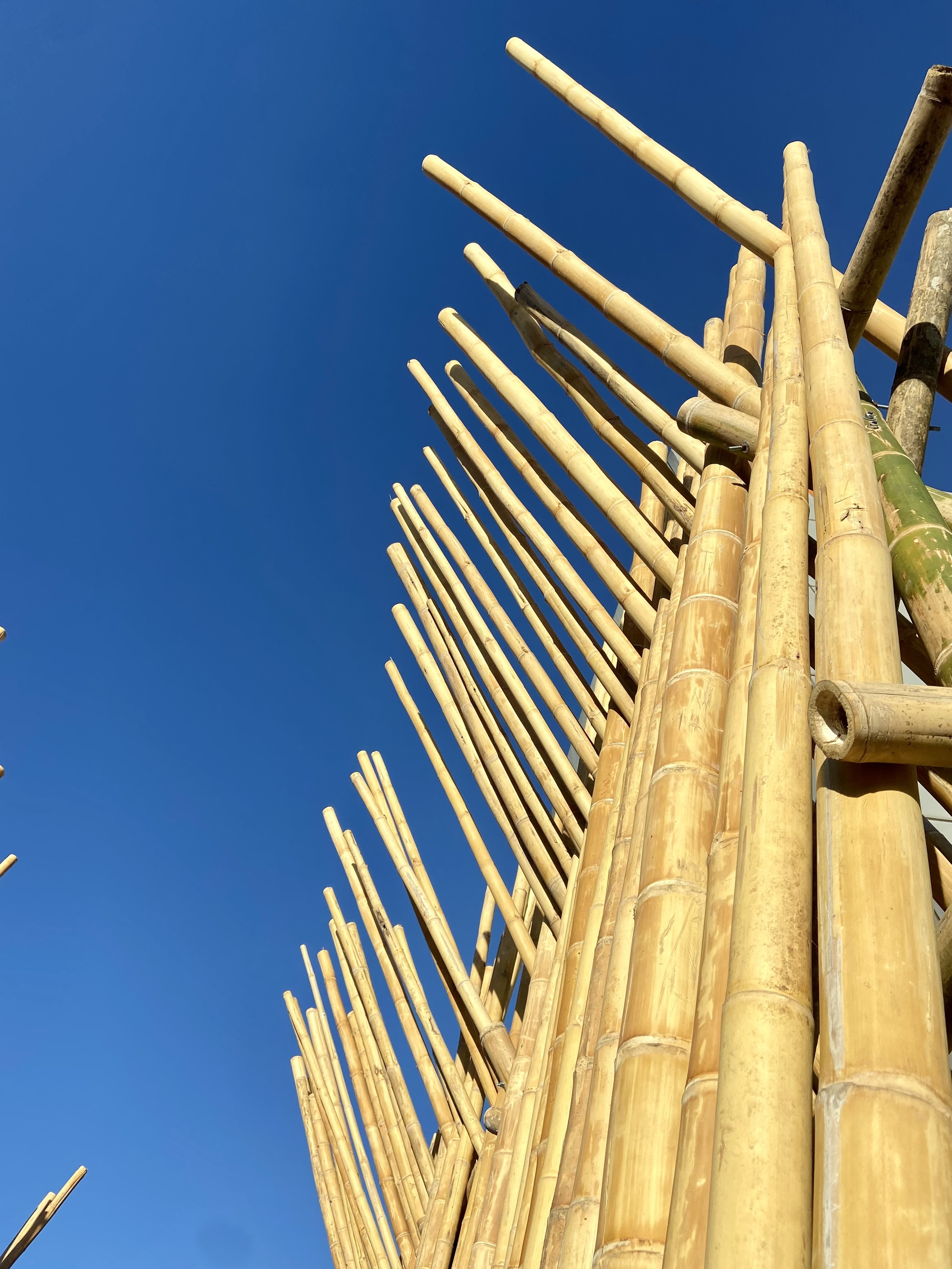 Bamboo sunset viewpoint pavilion render in Bocas del Toro, Panama